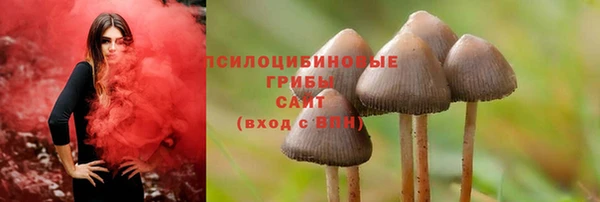 jwh Абаза
