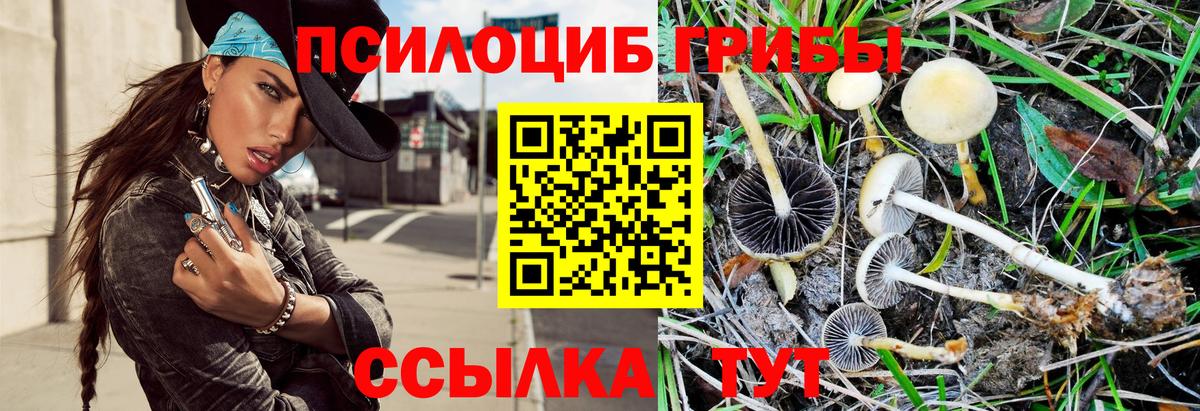 Новоалександровск  Галлюциногенные грибы MAGIC MUSHROOMS  Вход с VPN 